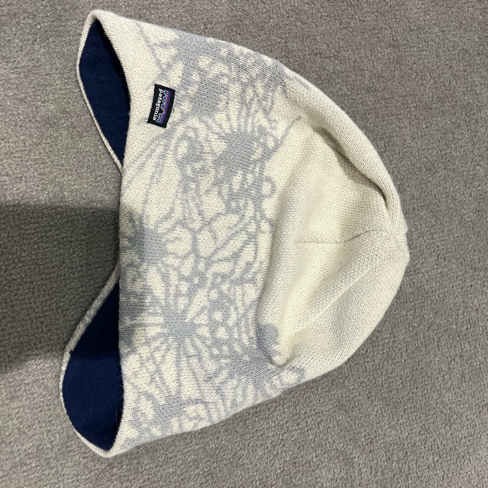 Patagonia 29101 Big Mountain Beanie Pine